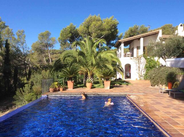 Pins, Jardin, piscine et repas au soleil de l’été gallery image 5
