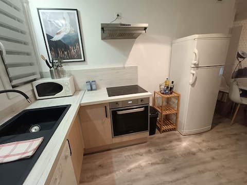 Popular Airbnb listing: 3-bedroom apartment – Flag in La Maladière