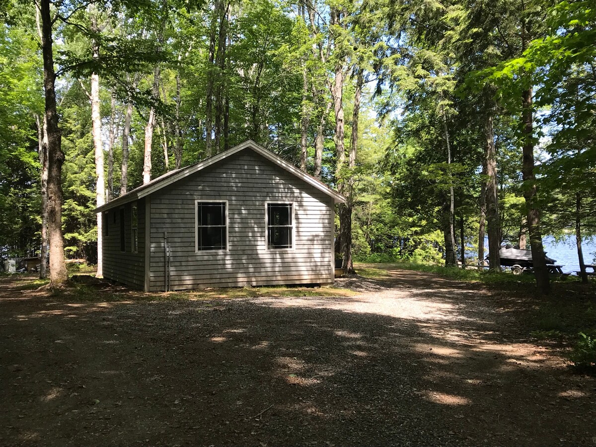 A cabin is seen nestled among tall trees, with a gravel pathway leading to its entrance. Large windows suggest views of the serene surroundings. The exterior features classic wooden siding, blending harmoniously with the natural landscape near a lake.