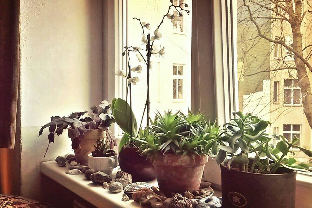 My little stone garden keeps growing :)