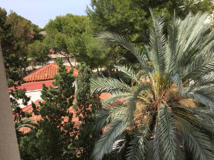 Vistas desde la terraza