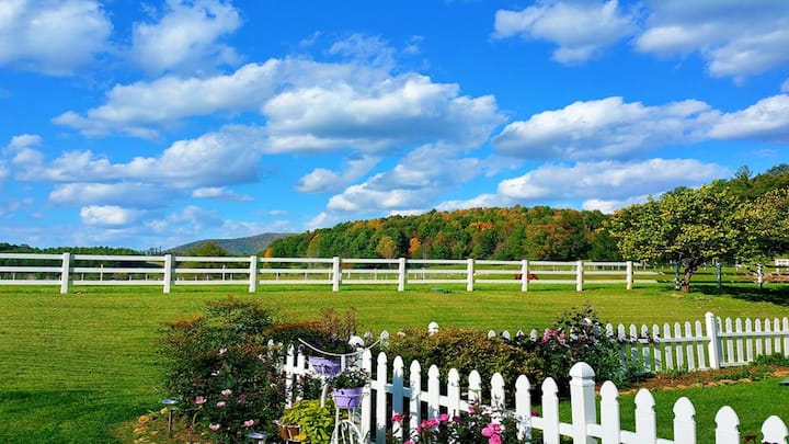 Near Damascus CABIN overlooking lovely Horse Farm