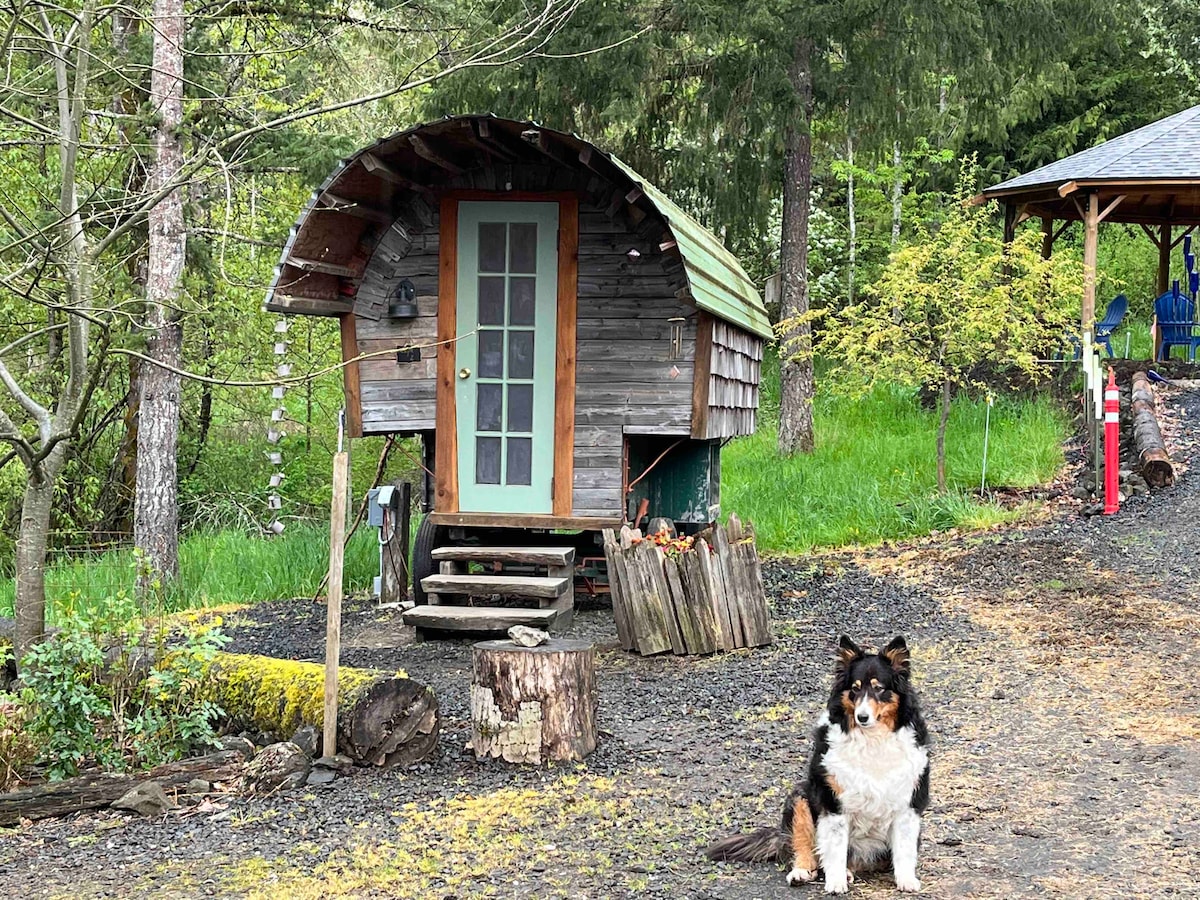 A charming sheepherder's wagon is set against a backdrop of lush greenery, featuring a wooden door with glass panels. A well-groomed dog sits in front, adding to the inviting scene. The path leading to the wagon is lined with rustic logs.