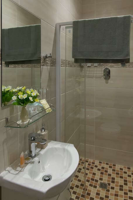 The bathroom with shower wash basin and a toilet