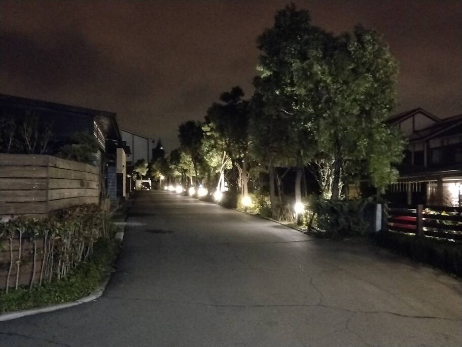 community in the evening (2)