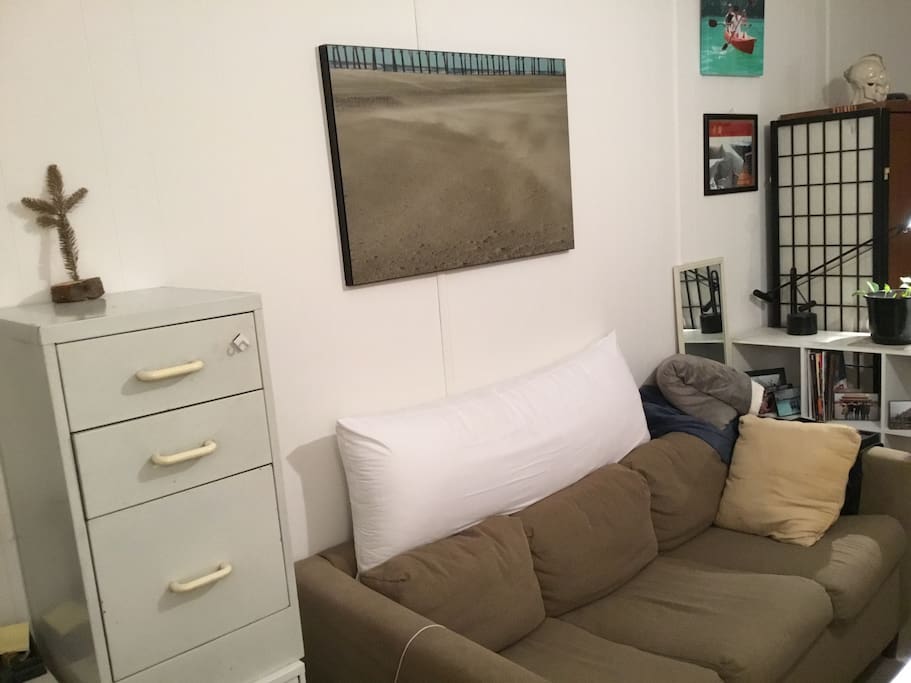 Couch (with pull out bed)