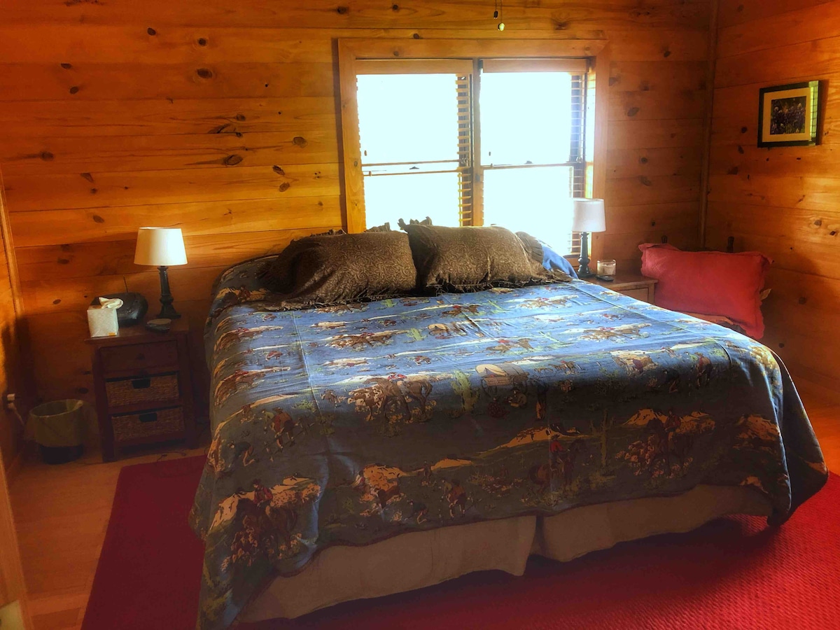 חדר שינה מס '1 עם מיטת קינג סייז וטלוויזיה ונגן DVD