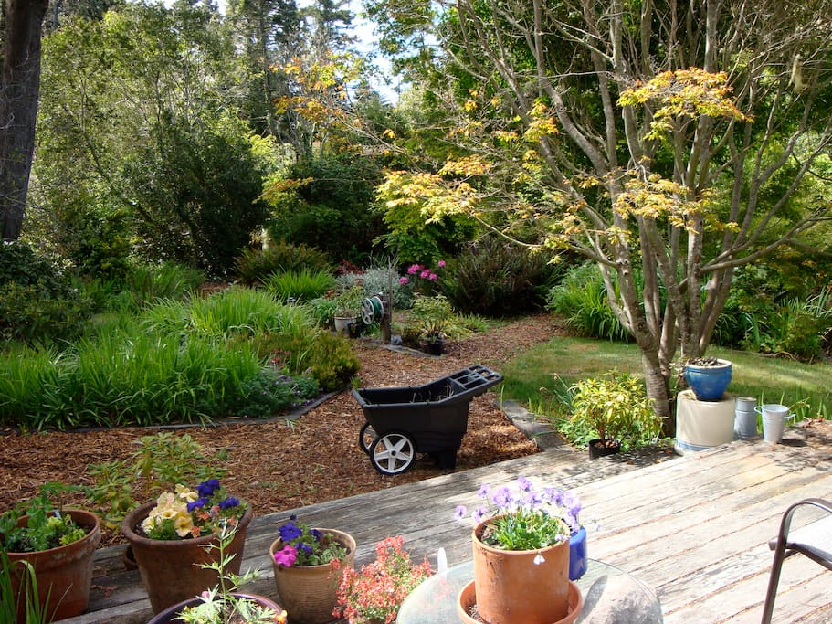 garden view