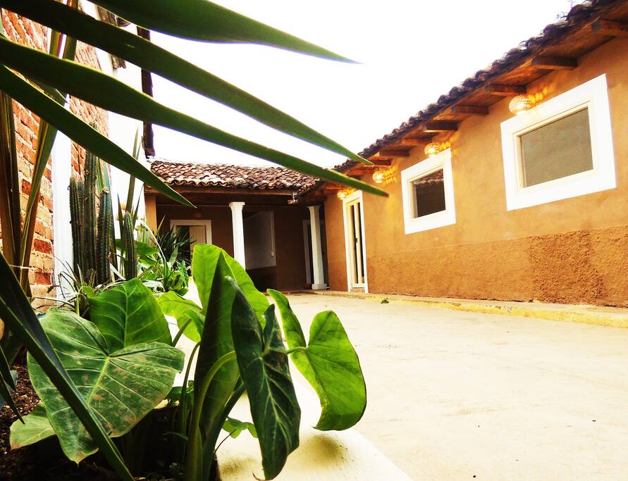 Bienvenidos en la Casa de los Cactus