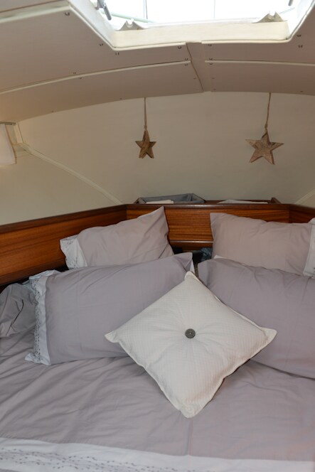 Стая №1 с голям надпис Velux