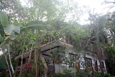 Cabaña Paraiso de las Aves