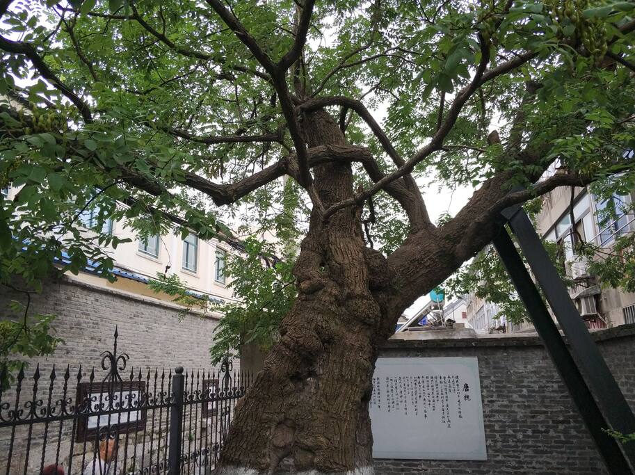 南柯一梦就在客栈对面