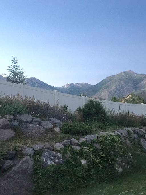 View from Window