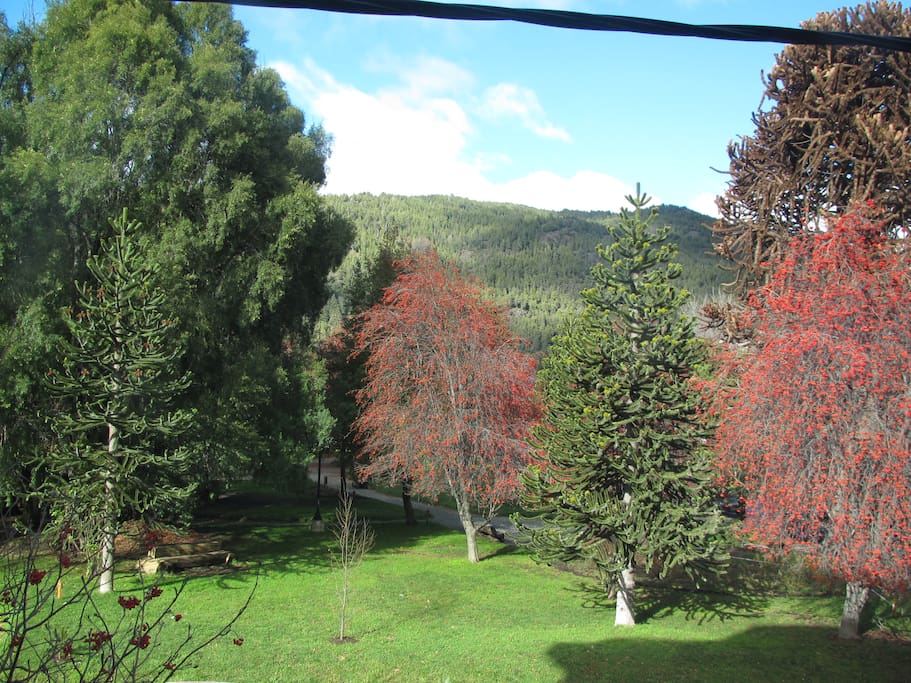 vista desde el living