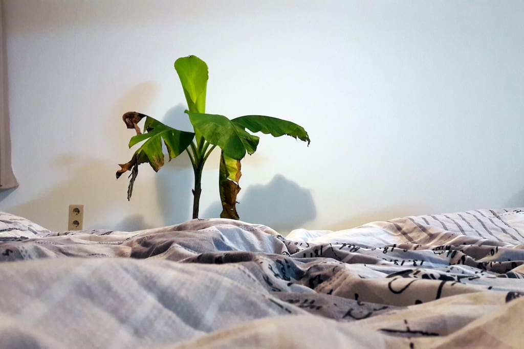 aba25406 2943 4605 b2d9 3afe82049525