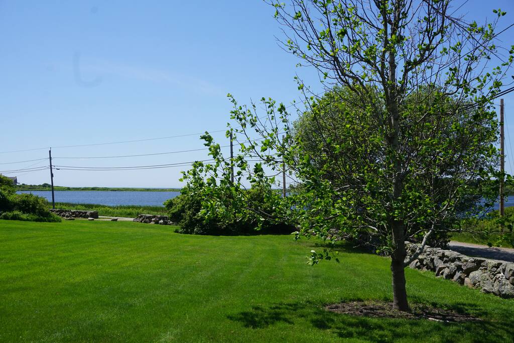 View from porch