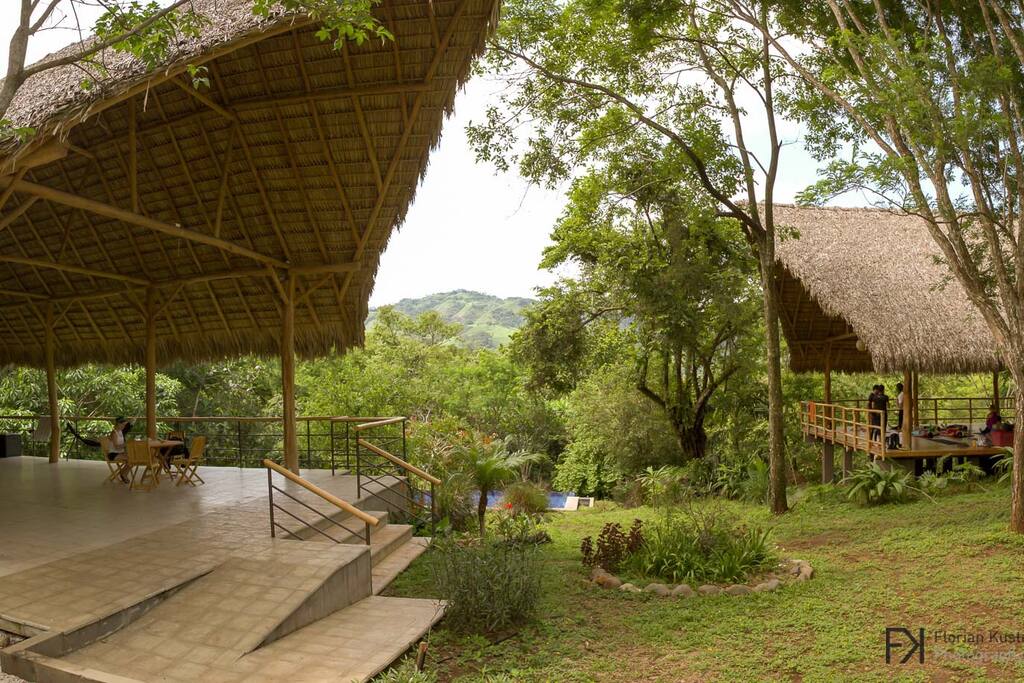 Swimming pool and yoga deck area