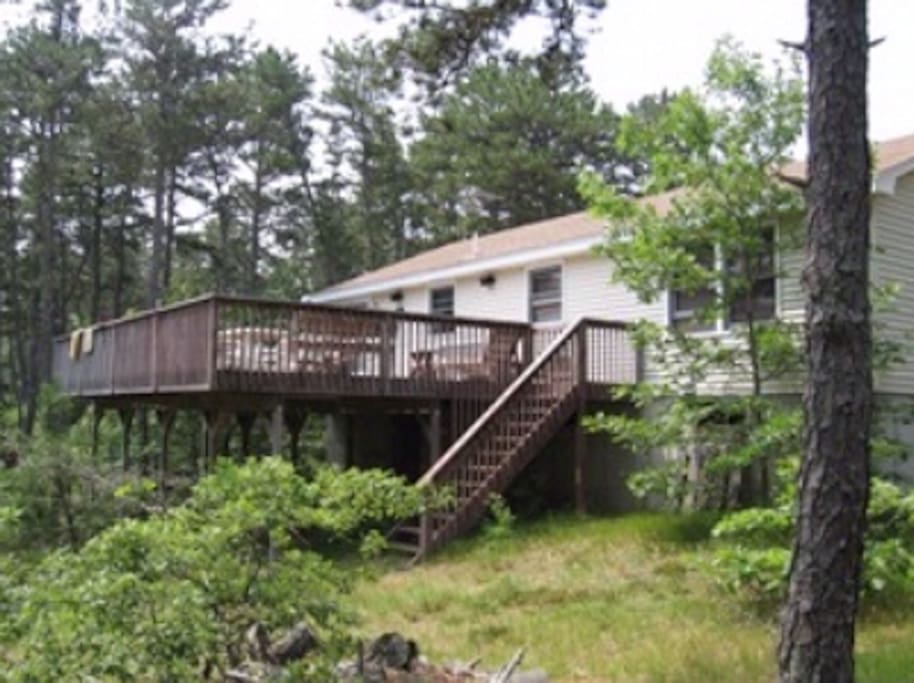 Back of the house overlooking a wooded area