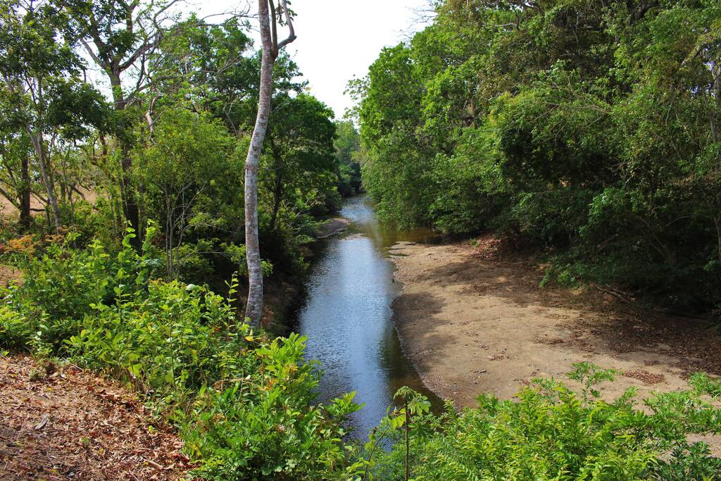 The river behind the house filled with wildlife and nature!