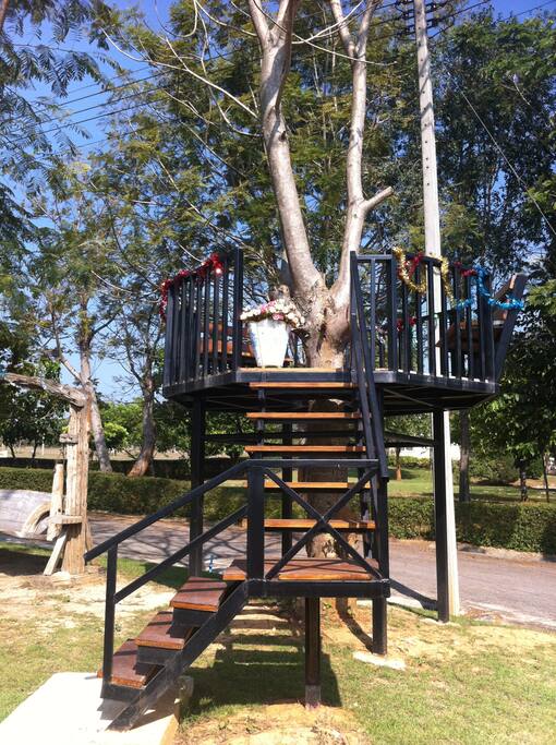 Tree seat with breath taking air and mountain view. มีที่นั่งรับลม บนต้นไม้ บรรยากาศดี