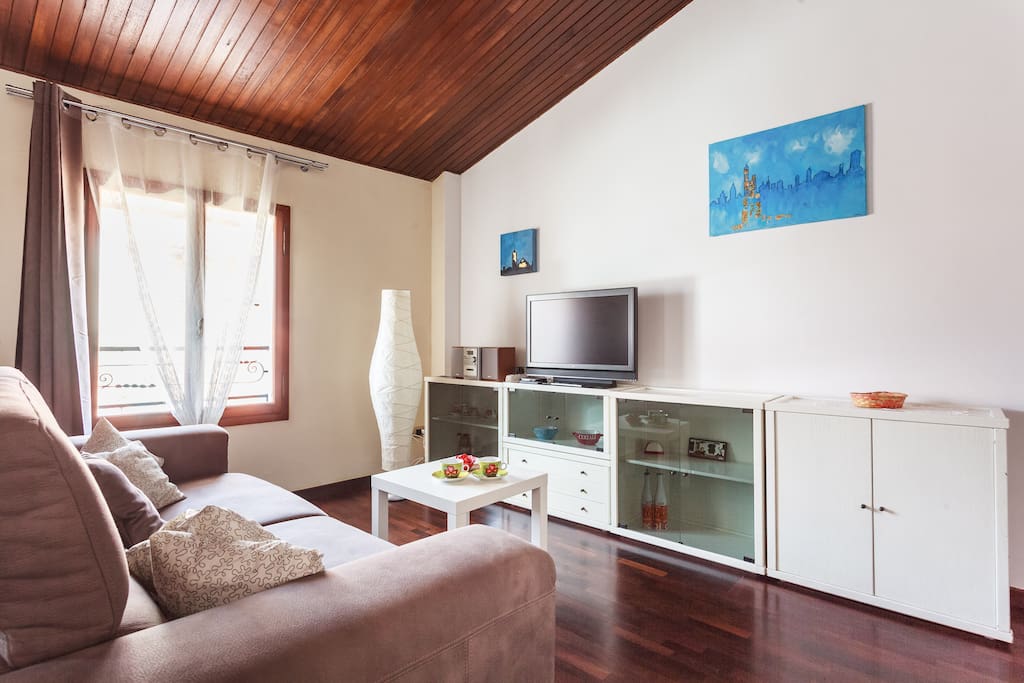 Living room with air conditioned and view of Bologna's roofs. Sofa bed.