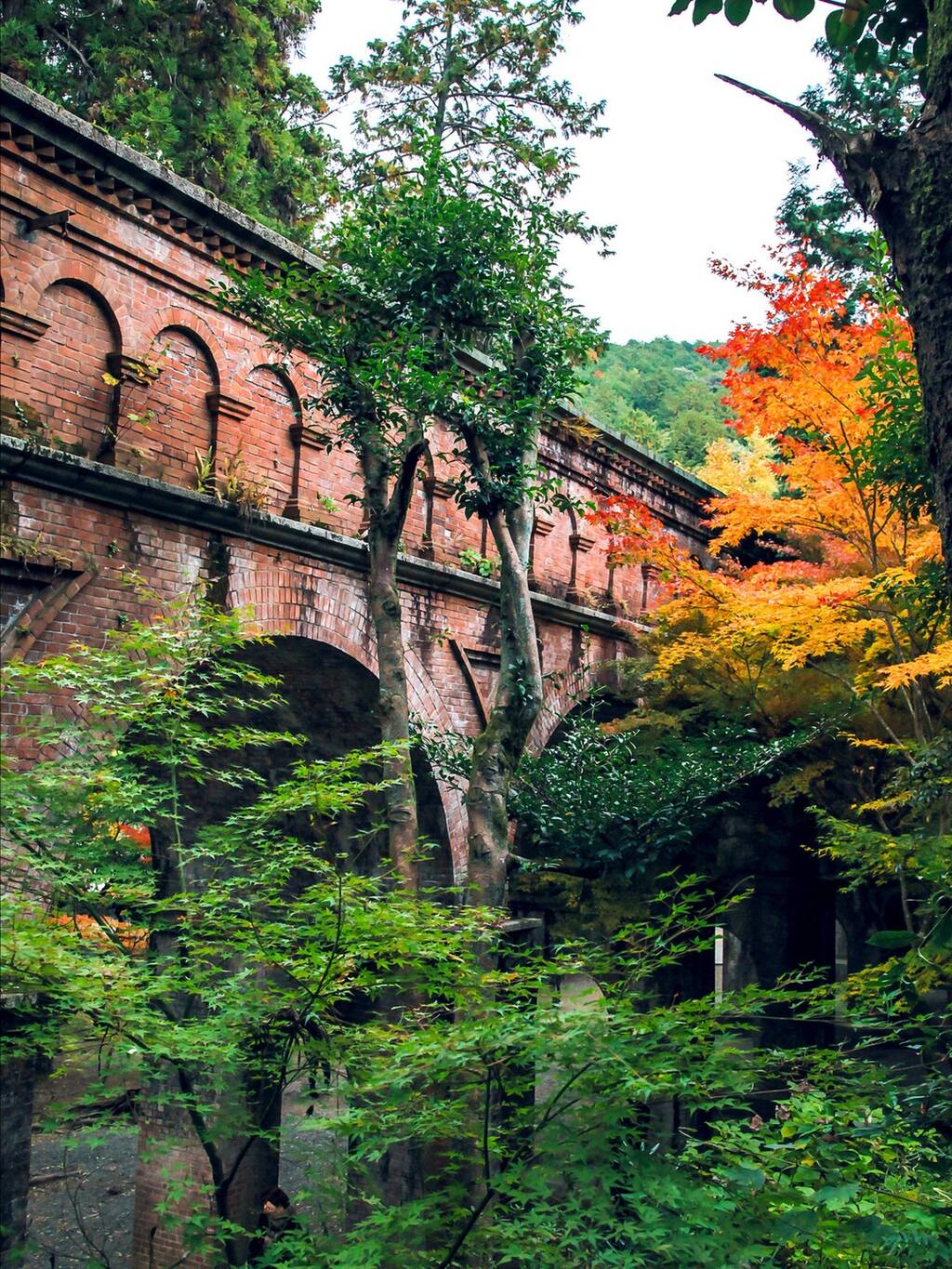 古刹 红叶 还有一点点故事 京都旅游攻略 尽在airbnb爱彼迎