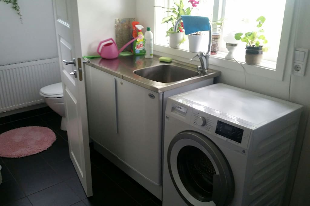 The entrance with washing machine and wc