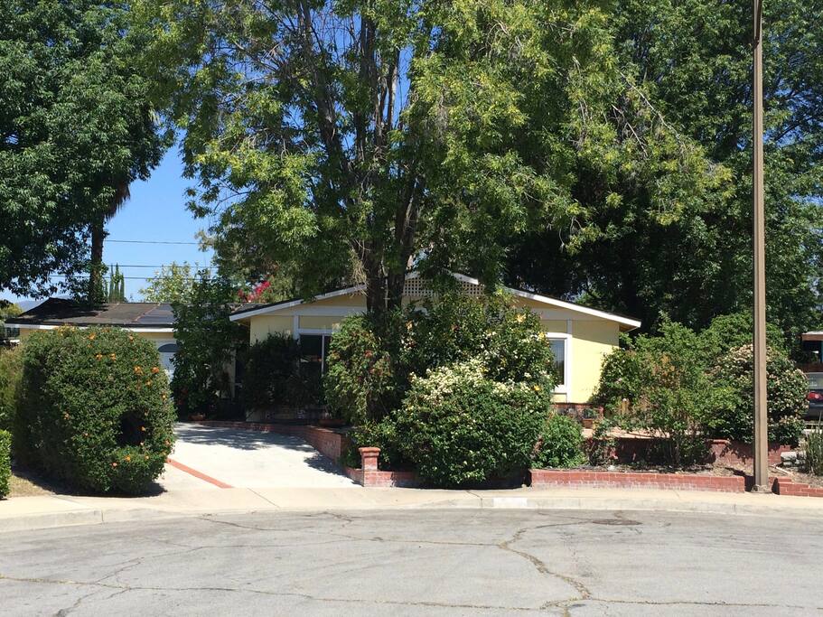 The front of the house with large shade trees and parking for up to 4 cars