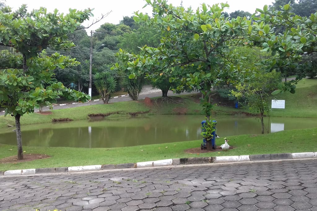 Lago na frente da casa.