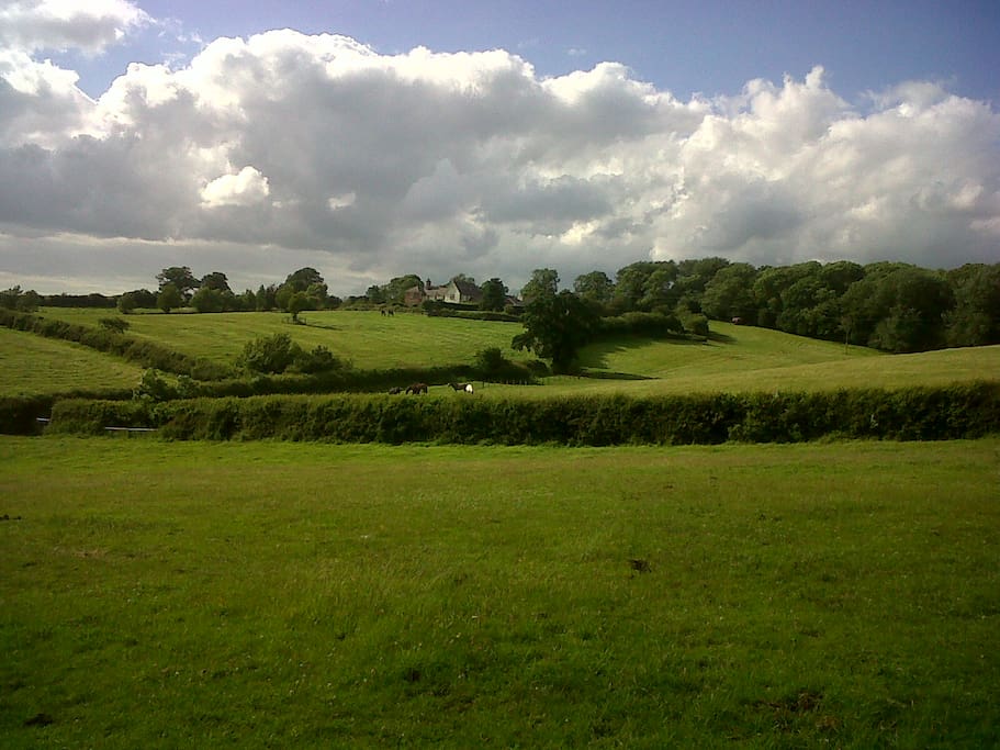 Set in rolling Leicestershire grassland