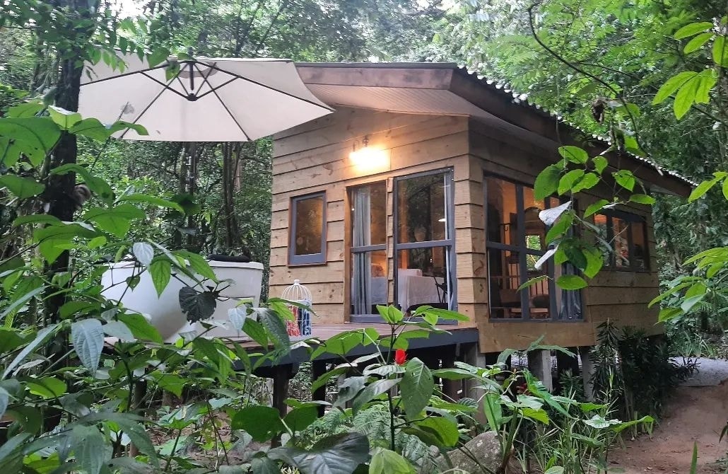A wooden cabin nestled among lush greenery features large windows that allow natural light to brighten the interior. An umbrella provides shade for the outdoor area, while the surrounding plants contribute to a serene and secluded atmosphere.