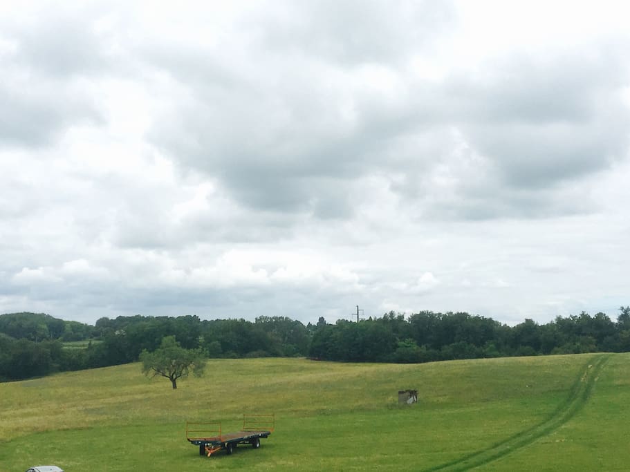 Vue de la chambre et de la terrasse