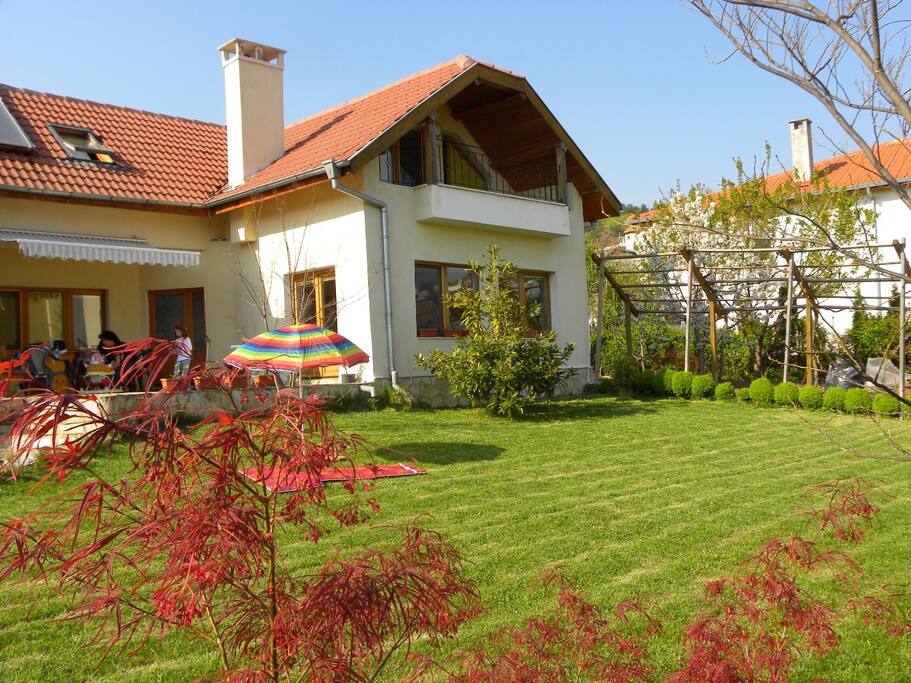 lawn