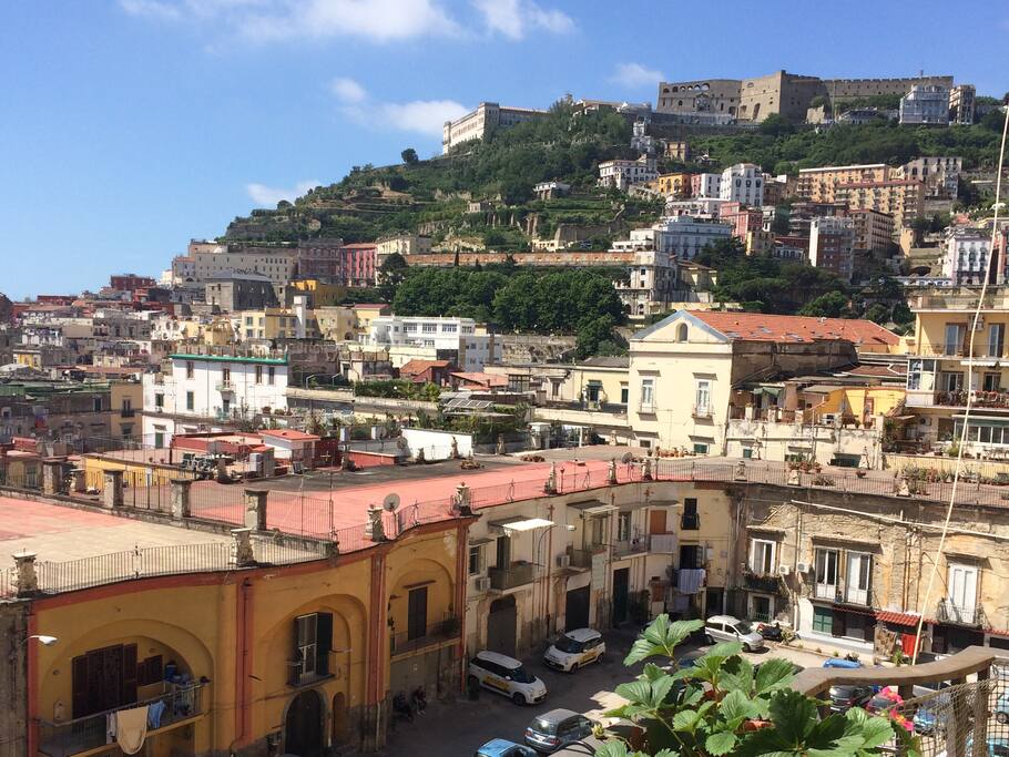 Vista su Certosa di San Martino