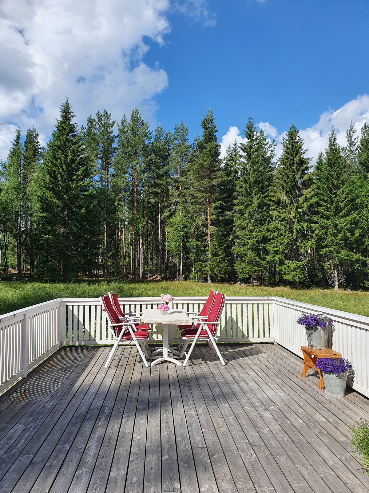 A spacious wooden deck is showcased, furnished with a round table and four red chairs. Lush green trees form a natural backdrop under a bright blue sky dotted with clouds. Potted flowers add a touch of color to the setting.