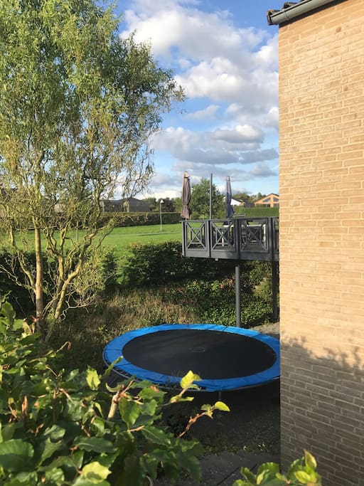 Trampoline in summer