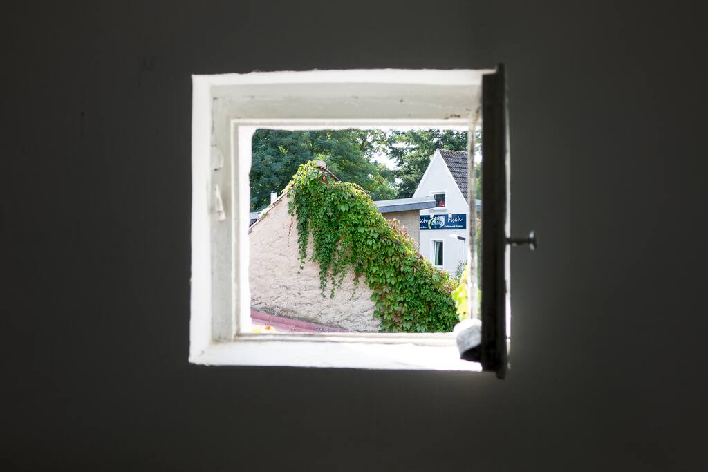 Das Fenster zum Hof.