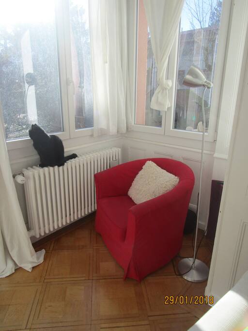 Une autre vue du salon. Notre chat ne sera pas présent lors de votre séjour!