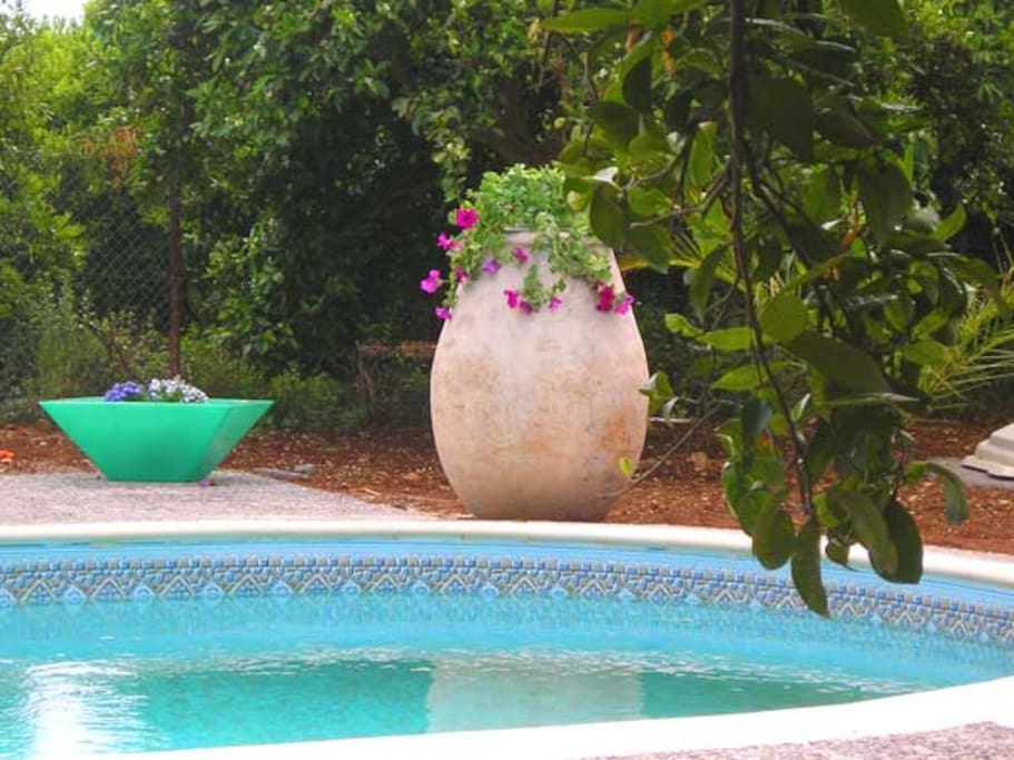 The plunge pool is 6m x 3.4m and 1.5m deep. Please make sure that children are supervised at all times
