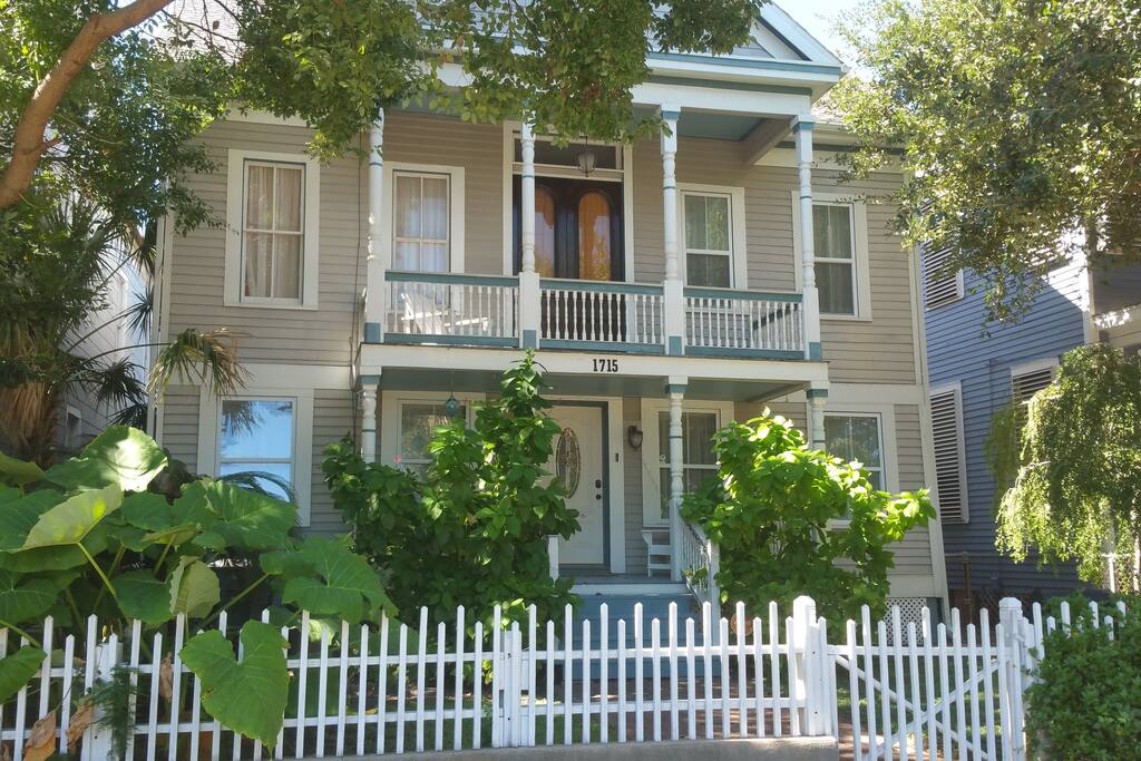 Tree,Deck,Porch,Fence,Palm Tree