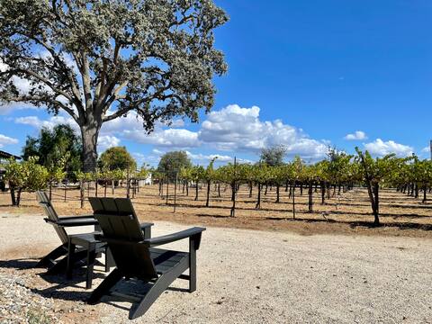 Private Vineyard & 6BR Mid-Century w/ Game House