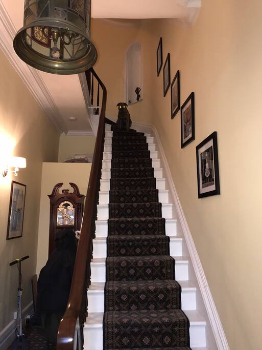 Entry to your personal space. Tweezer ,our dog, is at the top of the stairs. He will not be in your space but may say hi.