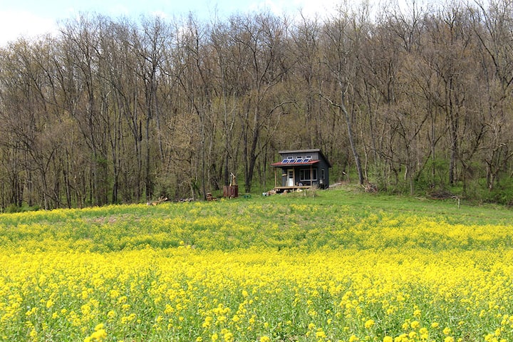 Secluded Tiny “Wild Mustard” Art/Spiritual Retreat