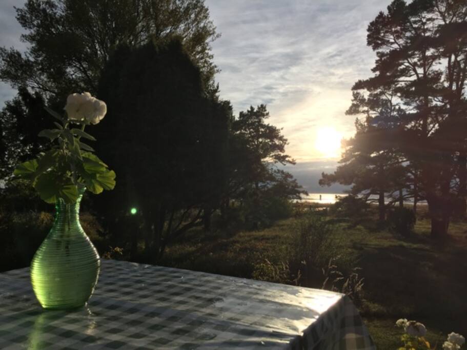 This is the view from the deck.