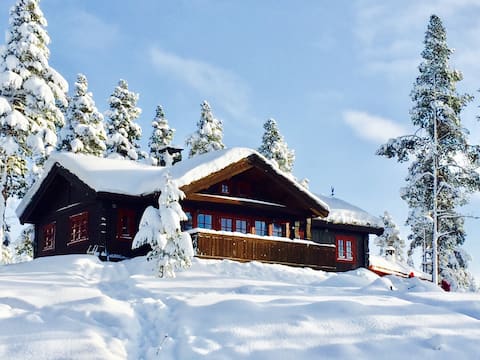 Cozy cabin Jotunheimen/Lemonsjøen