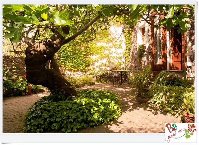 Double room in the heart of Sardinia! B&B