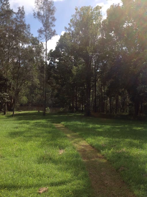 Shady forest with ample picnic space.