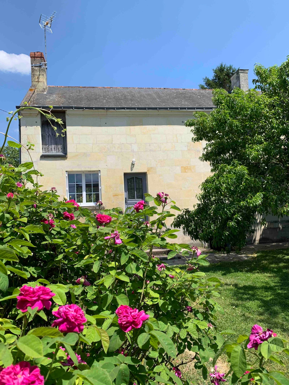 A charming stone house is surrounded by vibrant pink roses and greenery, showcasing a well-maintained garden. The upper windows and front door are visible, and a variety of trees provide shade, creating a serene environment.