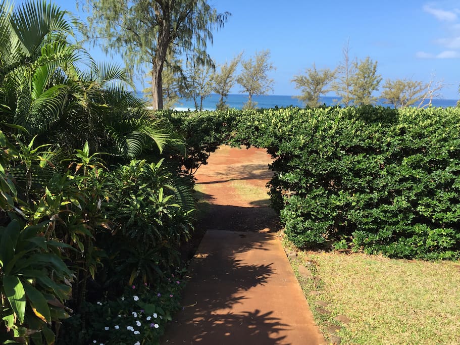 Walkway to the beach