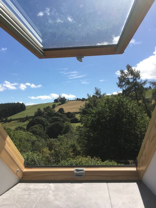 View from the living space.